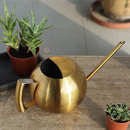 Edelstahl-Gießkanne mit Langer Öffnung für Garten, Blumen, Pflanzen, Werkzeug Zum Gießen (Gold)