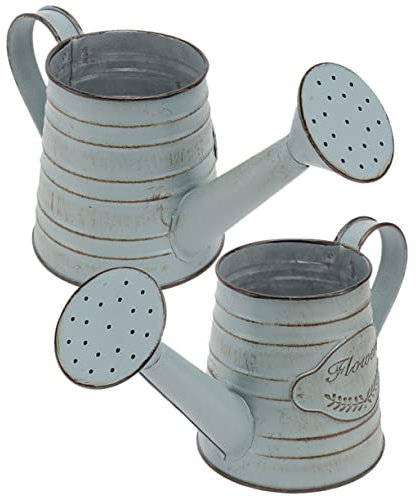 CAXUSD 2piezas Jarrón Vintage De Estilo Jarrón Rústico con Flores Contenedor De Hierro para Decoración