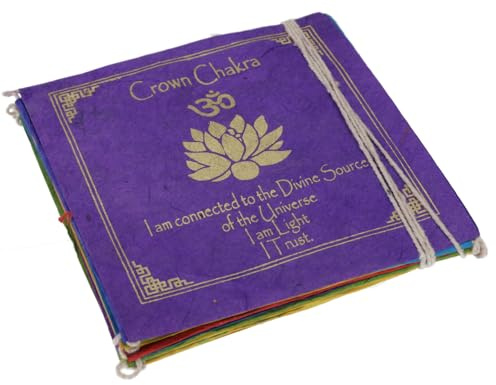 GURU SHOP Gebetsfahne aus Papier 2,50 m, Buddhistische Dekoration aus Loktapapier - Chakra 11x11 cm