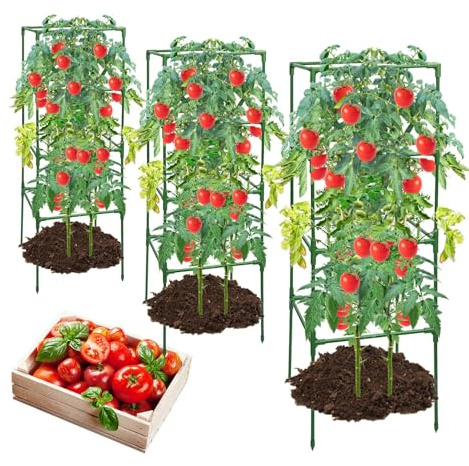 Paquete de 2 jaulas de tomate para soporte de jardín, 48 x 12 x 16 pulgadas, estacas cuadradas para plantas de tomate, enrejado para jardín, escalada, verduras, flores, frutas, 120 cm x 2 unidades