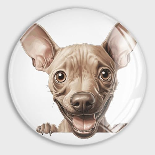 Evans1nism Glas-Kühlschrankmagnete, American Hairless Terrier, Hund, guckend, niedliche Magnete, Tiermotiv, runde Magnete, Hundeliebhaber, Garage, Magnet für Kühlschrank, Briefkasten, Auto,