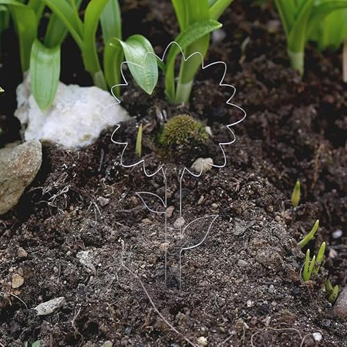 Bütic GmbH - Placa de Cristal acrílico para Plantas, diseño de Flores, sin Color, para jardín, Cartel vacío.