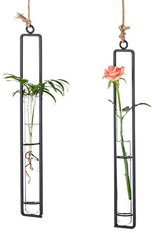 Sziqiqi Schwarz Fensterdeko Vase Hängend: Reagenzgläser für Blumen 2Stk | Glas Hängevasen, Kleine Vasen zum Aufhängen, Länglich, Fensterschmuck, Frühlingsdeko, Wand, Wohnzimmer