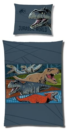 Familando Warme Dino Bettwäsche 2tlg. Set | Kinderbettwäsche 135x200 80x80 cm mit Reißverschluss | extra weich | Microfaser Kuschel-Bettwaesche (Jurassic World, 135x200)