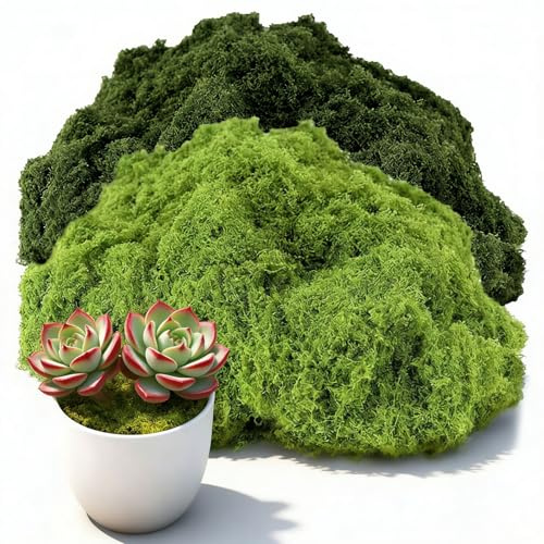 WORLUDE 300g Moos Deko - Kunstmoos zum Dekorieren (Dunkelgrün 150g+Hellgrün 150g), Bastelmoos, Moos Künstlich, Fake Kunstmoos zum Basteln für Weihnachtsdekoratio, Aquarium Wände, Zubehör Modellbau