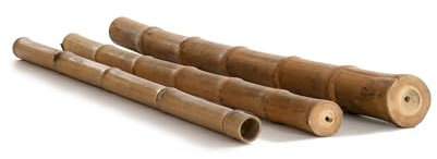 Canna di bambù Moso Ø 3 – 4 cm x L: 200 cm – robuste aste di bambù – come decorazione per giardino e terrazza