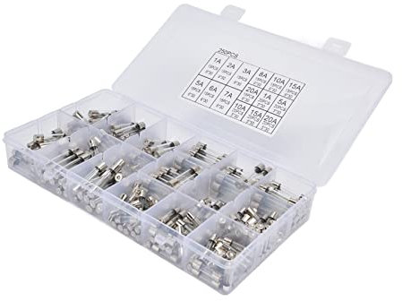 Fast Blow Tube, Glassicherung 250V 250Pcs mit Plastikbox für Auto