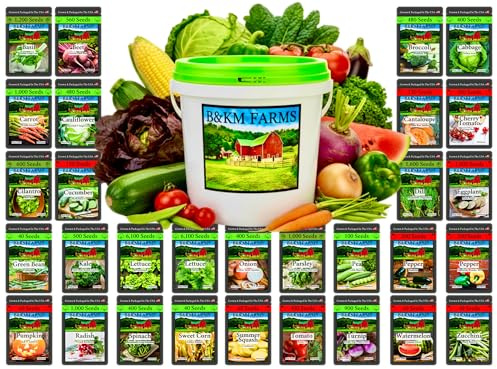 Beginner Survival Seed Vault: 20,000+ Heirloom & Non-GMO Seeds (30 Easy to Grow Varieties) by B&KM Farms