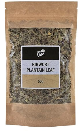 Lowhill Valley Ribwort Plantain Leaf - Cut and Dried Plantago lanceolata Leaves - For Respiratory Function and Digestive Well-being- Loose Herbal Tea - 100% Natural – 50g