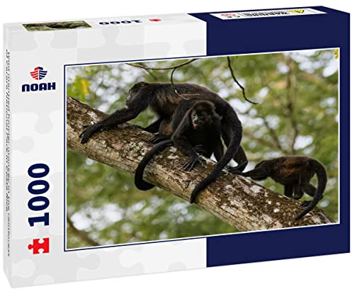 Noah Jigsaw Puzzle Wild Mantled howler Monkey in The Rainforest of Carara National Park in Costa Rica 1000 Pieces