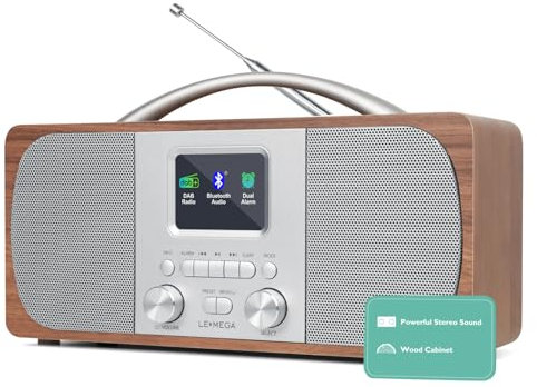 LEMEGA DR6 Radio Stereo Digitale DAB/FM,Radiosveglia con Bluetooth,Alimentazione a Batterie o Corrente,Radio DAB+ Elegante per Cucina o Camera con Struttura in Legno e Pannello Frontale in Metallo