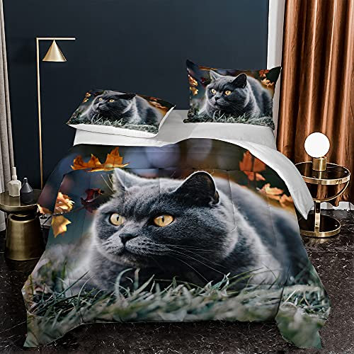 Bettdecke 140X200 Blaue Katze Drucken Steppdecke 200Gsm,Dünne Und Leichte Bettdecken,4 Jahreszeiten Bettdecken 140X200,Weiche Mikrofaser Bettdecke Mit 2 Kissenbezüge,Warm Steppbettdecke