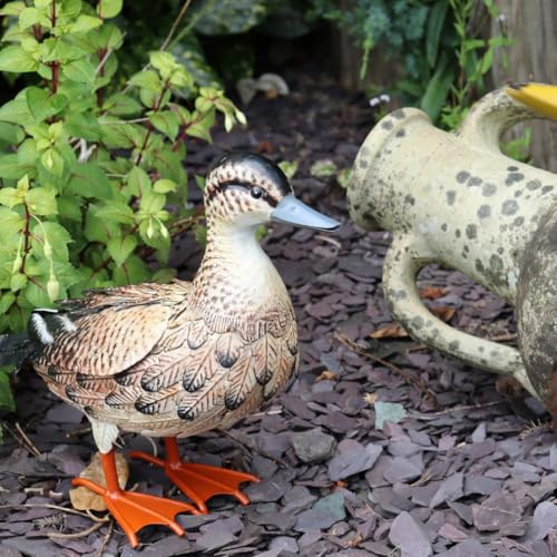 Betley Butterfly Metal Garden Duck Ornament, Brown Mallard Hen Farmyard Female Duck Sculpture, 39cm Wildlife Patio Decoration