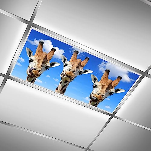 Fluorescent Light Cover for Classroom - 2 Pcs Funny Giraffe Magnetic Fluorescent Light Covers, Ceiling Light Covers Shade Panel Coverings for Office Classroom Home Drop Ceiling, 4 x 2 Feet