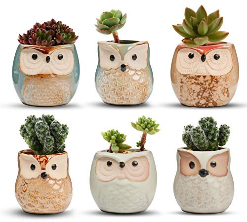 T4U 6CM Ceramic Succulent Planter Pots Mini Size Set of 6, Small Flower Plant Pots with Drainage Hole, Cute Owl Pots for Home Office Decoration, Desktop Windowsill Owl Gift for Gardener for Birthday