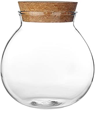 1 barattolo sigillato in vetro trasparente da 0,5 l, con tappo in sughero, ricaricabile, vuoto, per alimenti, tè, caramelle, spezie, fagioli, noci e caffè