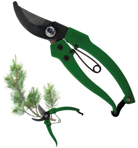 Forbici da Potatura Bypass, Cesoie, Lame in Acciaio, Lunghezza 19 cm, Bonsai, Fiori, Rose, Giardino, Siepi, Piccoli Rami (VERDE)