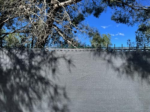 edenvista Brise Vue occultant HDPE 170g/m2, Traité Anti-UV, Ultra résistant. Idéal pour Clôtures de Jardin, Patio, Grillages, Balcon. | 1x10m, Couleur Gris Anthracite.
