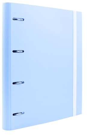 Raylu Paper - Raccoglitore 4 anelli con 6 divisori colorati e ricariche da 100 fogli A4 a griglia 4x4mm, cartella con 4 anelli dorso da 60 mm. (Blu pastello)