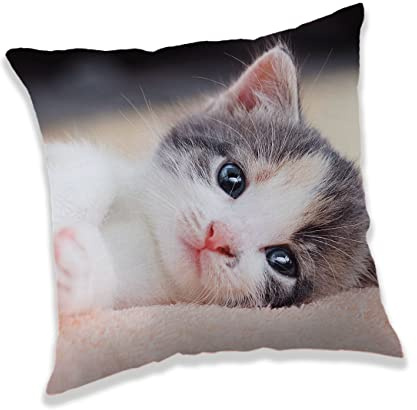 Jerry Fabrics Kissen Kuschelkissen Dekokissen mit Katze 40 x 40 cm