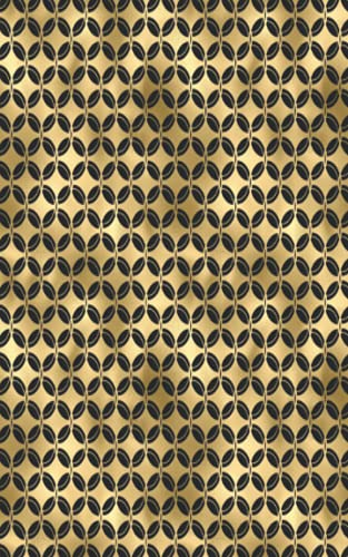 Bitcoin Cryptocurrency & Digital Assets: Art Deco Recovery Phrase Offline Security Password Notebook Ledger: Organized Index System With Tabs Dotted Logbook Journal: 5” x 8” 110 Pages