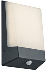 Trio Leuchten Wandleuchte 228669142 Kasai, Aluminium anthrazit, 9 Watt LED, Dämmerungssensor, 5.9 x 16.10 x 21.1 cm
