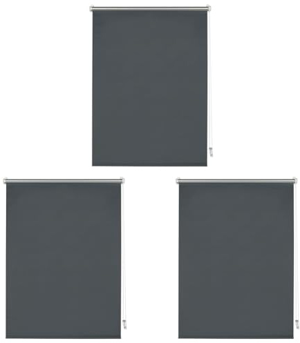Deco Company, Tenda a Rullo Termica, Con Rivestimento Termico, Montaggio a Incastro, Altamente Riflettente, Risparmio Energetico, Oscurante, Materiale di Montaggio Incluso, Antracite, 50 x 150 cm