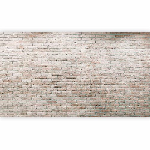 murando - Papier peint panoramique artistique 500x280 cm - Revêtement mural décoration salon - Design moderne - Architecture brique marron urbain moderne texture fond f-A-0570-x-a