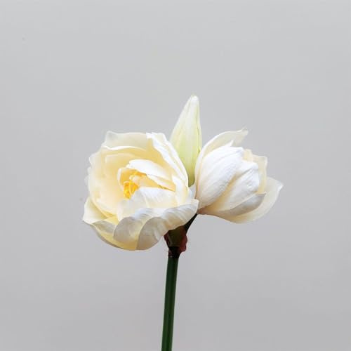 artplants.de Deko Blume Amaryllis Maurine, Creme-gelb, 80cm - Kunstblume Amaryllis