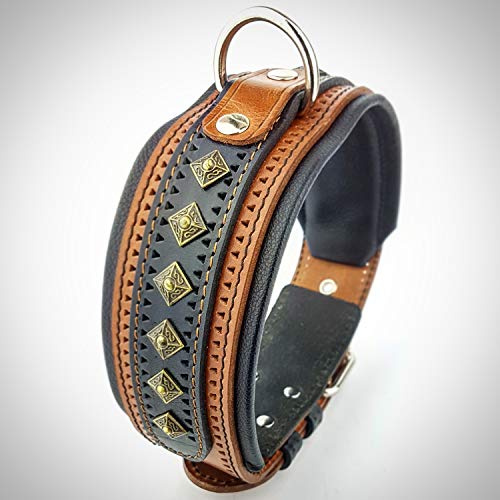 Bestia Balteus halsband, M- von 42.5 bis 52.5 cm Halsumfang, Braun & Schwarz