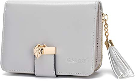 CALIYO Geldbeutel Damen aus glattem und weichem Synthetisches Leder, Geldbörse Damen klein und im Kurzformat, Portemonnaie mit Druckknopf und Reißverschluss und viele Fächer (Grau).