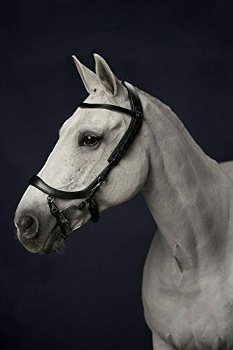 PresTeq Leder Trense FaySport 12 anatomische Eigenschaften (Warmblut extra, schwarz)