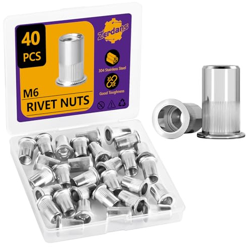 40 Stück M6 Blindnietmuttern aus Edelstahl, Flachkopf-Gewindeeinsätze, robuste Senkkopf-Nietmuttern für Metall- und Kunststoffplatten