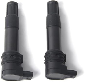 Kit 2 Bobine di Accensione per BMW R1150R ROCKSTER 2002-2005, R1150R 2000-2006, R1150RS 2001-2005, R1150RT 2000-2006, 12-13-7-707-549 Ricambi e Accessori per Motociclette