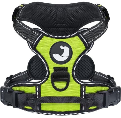 Joytale Anti-Traction Harnais Très Grand Chien, Vert, XL