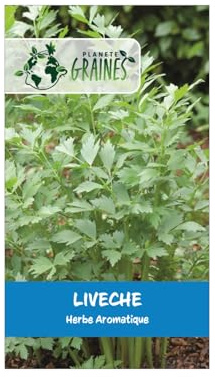 600 Graines de Livèche (Herbe à Maggi) - Améliorez vos Plats avec cette Aromate Facile à Cultiver !