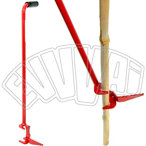 PIANTACANNE - PIANTA CANNE BAMBU SALVA SCHIENA PER PIANTARE PALI - ORTO GIARDINO