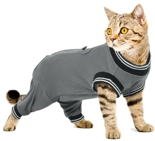 PUMYPOREITY Tuta da Recupero Gatti, Body Gatto Posteriore Manica Recupero Gatti Body Chirurgico Gatto Femmina Maglia per Gatti Post Operazione Protettivo per Recupero Postoperatorio(Grigio, L)