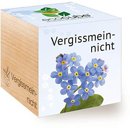Feel Green Ecocube - Kit de cultivo ecológico para plantas en cubos de madera, diseño de nomeolvides (100% respetuoso con el medio ambiente), fabricado en Austria