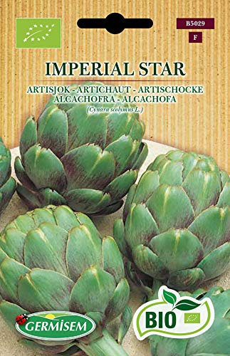 Germisem Biologico Imperial Star Carciofo 5 Semi