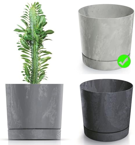 BirnePower Blumentopf Blumenkübel Übertopf Rund mit Untersetzer TUBO P Beton Effect Pflanzkübel Pflanztopf Matt (Hellgrau, 400)
