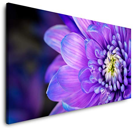 Lila Blume 120x 60cm Panorama Leinwand Bild XXL Format Wandbilder Wohnzimmer Wohnung Deko Kunstdrucke