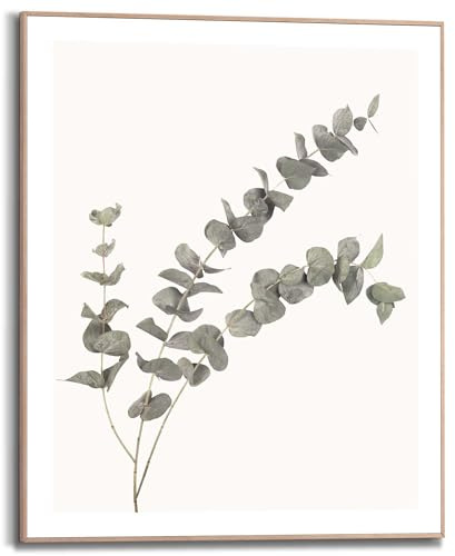 REINDERS Gerahmtes Bild, Eukalyptus, Wohnzimmer, Bilder, Wanddeko, Room Decor, MDF, Grün, 50 x 40