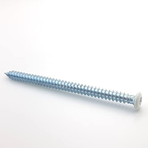 Betonschraube 7,5 x 182 mm RAL 9010 reinweiß Zylinderkopf Tx pro 20