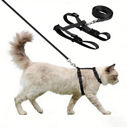 Geschirre Katzenleine Kätzchenhalsband,Ausbruchsicher Katzenweste,Katzengeschirr und Leine für Kleine Große Katzen,Leicht, Weich, für Reisen, Ausflüge, Tägliche Aktivitäten,120cm（Schwarz）