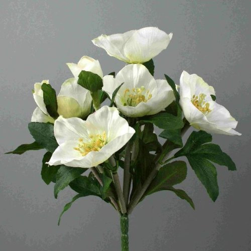 Decpero Christrosenbusch mit 7 Blüten I Weiss I 25 cm I 12 Stück