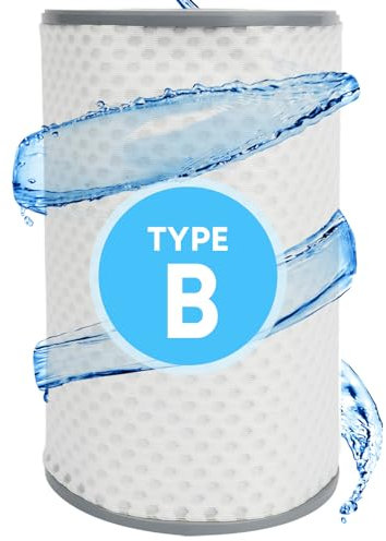 Caumous Type B Pool Filter-Reusable Above Ground Pool Filter Cartridge-Fits Most 2000/2500 GPH Pumps-Compatible with 29005E and 59905 Models.