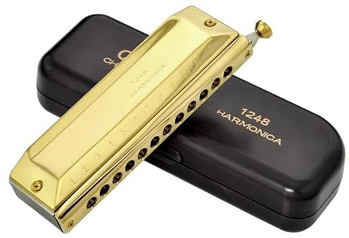 Professionelle Mundharmonika 12 Löcher 48 Töne Mundharmonika Harfe Musikinstrument Chromatische Mundharmonika Professionelles Instrument klassische Mundharmonika(Gold)