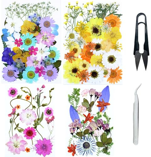 Cayway 4 Packung Getrocknete Blumen Natürliche Trockenblumen für Epoxidharz für Harz, Getrocknete Gepresste Blätter, Natürliche Trockene Blätter für DIY Harz Schmuck Art Blumendekoration, Stil B