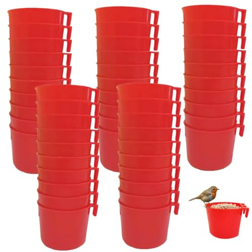 Comedero para Palomas, comedero para Pollos Colgante de plástico de 50 Piezas, Suministros de alimentación para pájaros fáciles de Quitar para Loros, Aves de Corral